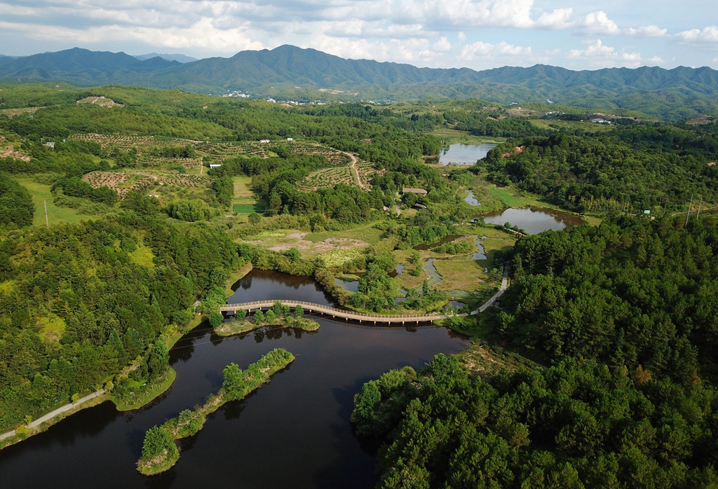 福建省龍巖市長(zhǎng)汀縣的長(zhǎng)汀汀江國(guó)家濕地公園景色（2020年7月28日攝，無人機(jī)照片）。新華社記者 魏培全 攝