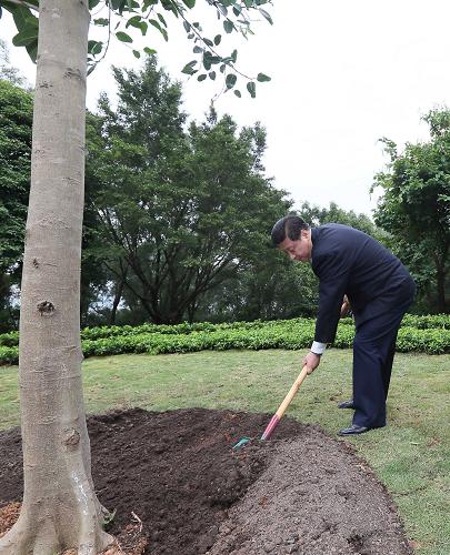 2012年12月7日至11日，習(xí)近平在廣東省考察工作。這是8日上午，習(xí)近平在深圳蓮花山公園種下一棵高山榕樹。新華社記者 蘭紅光 攝