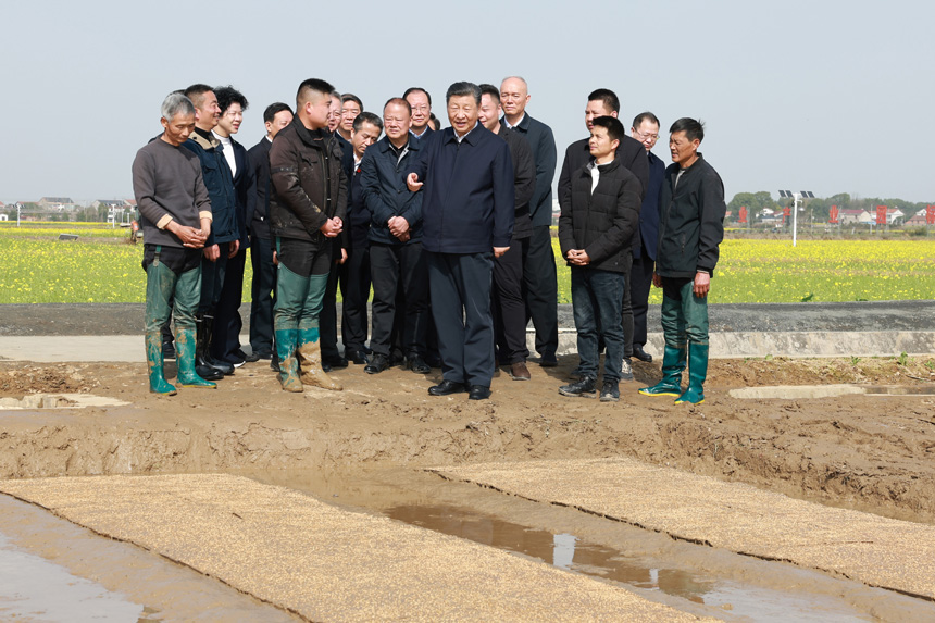 2024年3月18日至21日，中共中央總書記、國(guó)家主席、中央軍委主席習(xí)近平在湖南考察。這是19日下午，習(xí)近平在常德市鼎城區(qū)謝家鋪鎮(zhèn)港中坪村走進(jìn)田間，察看秧苗培育和春耕備耕進(jìn)展。新華社記者 王曄 攝